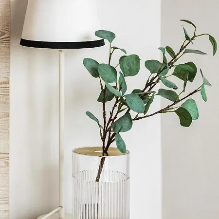 Sunny Coast With In By Renters Apartment