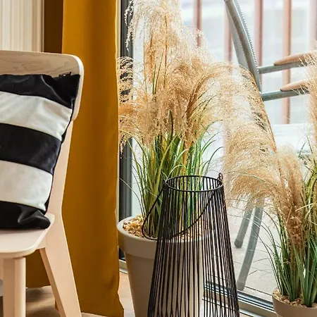 Apartment Sunny Coast With In By Renters *