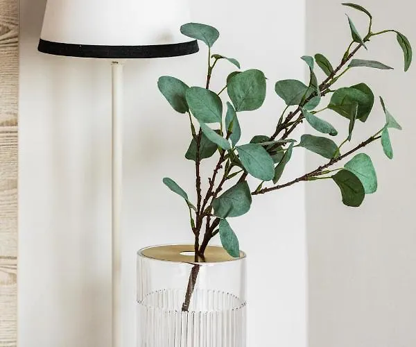 Sunny Coast With In By Renters Apartment